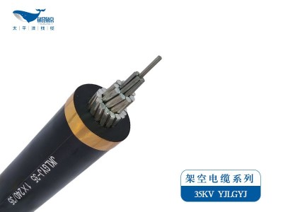 架空電纜系列JKLYJ，JKLGYJ 0.6/1KV